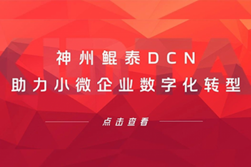 k8凯发DCN助力小微企业数字化转型